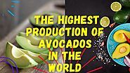 The Highest Production of Avocados in the World