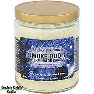 What to Consider Before Buying Odor Eliminator Candles | Zupyak