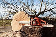 How to Clean a Chain Saw – Step by Step | OutdoorSkillz