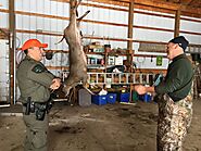 Top 10 Hunting Violations During Deer Season | Two Verbs