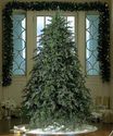 7.5' Downswept Hunter Fir Pre-Lit Artificial Christmas Tree