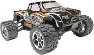 Do you get an RC Monster Truck or a Buggy? Our TOP tips!