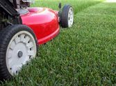 Lawn Care Auckland in South Auckland