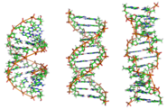 Gene Splicing