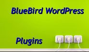 WordPress pluginsThe BlueBird WordPress Plugins. I show you mine...