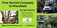 Tree Service Company in Wareham