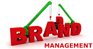 Why do you need brand management service in Brisbane?