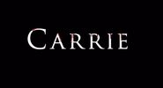 Carrie by Stephen King (book)