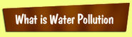 What is Water Pollution for children