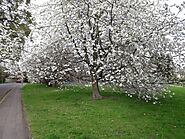 NEW : Showcaster Countdown Clocks Series 8 – Live Video Training