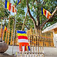 Jaya Sri Maha Bodhi, Anuradhapura
