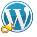 What are WordPress plugins?