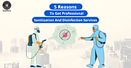 Professional Disinfection & Sanitization Services | Darks Manpower