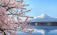 Explore the Best Time to Visit Japan in 2021 for a Holiday