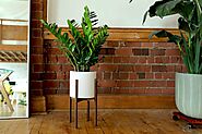DIY Indoor Plant Stands: Beautify your House with Them