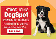 Online Pet Products Shop