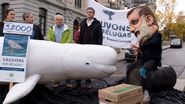 Energy East Pipeline: TransCanada standing down on further work in Quebec