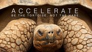 ACCELERATE: Be the Tortoise Not the Hare