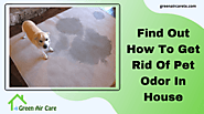 Find Out How To Get Rid Of Pet Odor In House | San Antonio