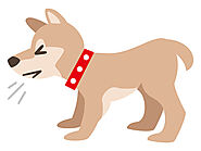 Never Ignore your pet’s symptoms- How to find a cure for them? - Noopur Kumari