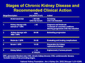 Latest Chronic Kidney Disease Nutrition Education Recommended