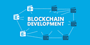 Blockchain Developers