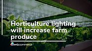 Horticulture lighting will increase farm produce