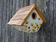 Daisy Print Wren Hanging Birdhouse