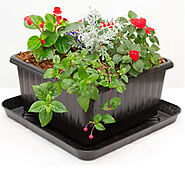 UrBin Grower Basic Container Kit