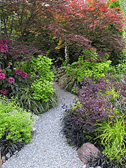 5 Garden Path Looks for an Enchanting Journey