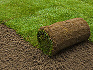 How to make your garden the most wonderful place