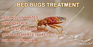 Bedbug Treatment Toronto - BedBugs Infestations | Awesome Pest