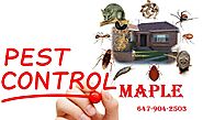Awesome Pest Control Inc Toronto - Google Search