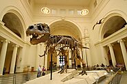 45 interesting facts about museums | Museum Facts