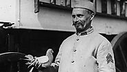 Pigeons, dogs and Kings. These 12 World War I Facts will blow your mind