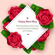 Happy Rose Day Wishes 2021 - Quotes, Status, Messages, & Images - Happy Festivals