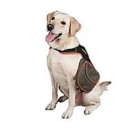 Best Backpack For Dogs Reviews 2015 Powered by RebelMouse