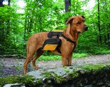 Best Backpack For Dogs Reviews 2014/2015