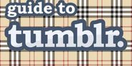 The unofficial, beginner's guide to tumblr