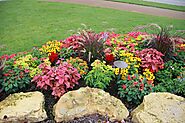 Beautiful Flower Bed Ideas