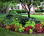 13+ Beautiful Shade Garden Ideas to Grow the New Plantations