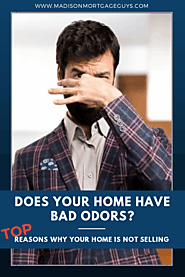 Why Your House Is Not Selling | Visual.ly