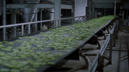 Soylent Green