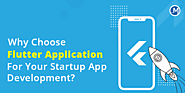 Why Choose Flutter Application For Your Startup App Development?