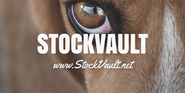 STOCKVAULT