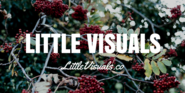 LITTLE VISUALS