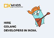 Hire Golang Developers in India | DxMinds