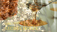 Lychee Honey: Wholesale Suppliers India - Rbfpharma.com