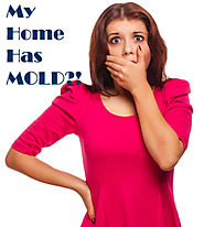 Tips for Selling a Home with Mold