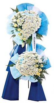 https://hazelsingapore1.medium.com/congratulatory-and-condolences-flowers-how-to-choose-the-right-ones-b491325a4e4d